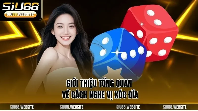 Giới thiệu tổng quan về cách nghe vị xóc đĩa